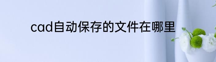 cad自动保存的文件在哪里