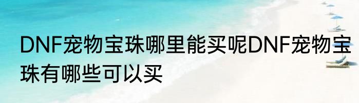 DNF宠物宝珠哪里能买呢DNF宠物宝珠有哪些可以买