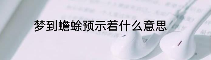 梦到蟾蜍预示着什么意思