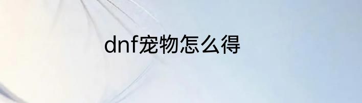 dnf宠物怎么得