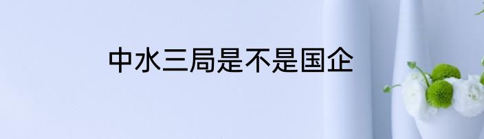 中水三局是不是国企