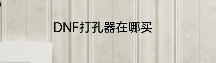 DNF打孔器在哪买
