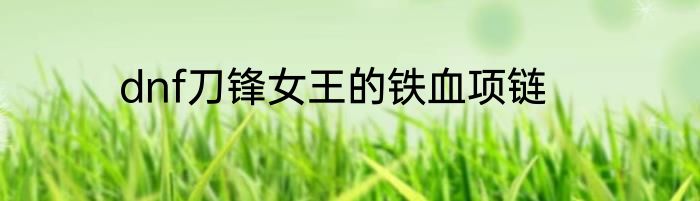dnf刀锋女王的铁血项链