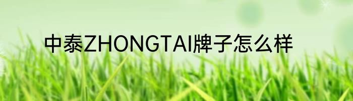 中泰ZHONGTAI牌子怎么样
