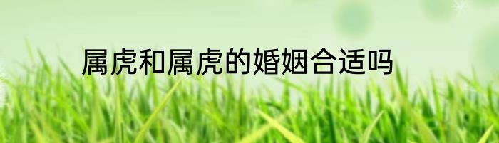 属虎和属虎的婚姻合适吗