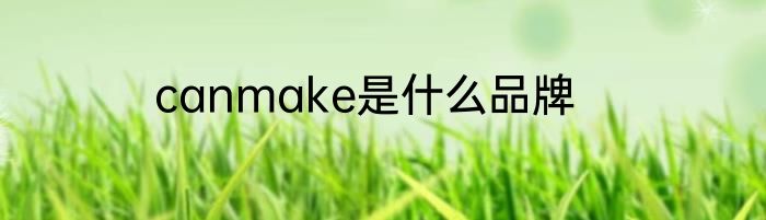 canmake是什么品牌