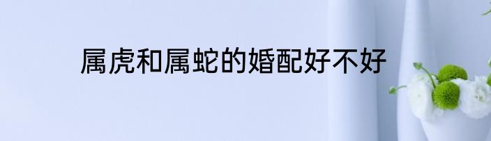 属虎和属蛇的婚配好不好