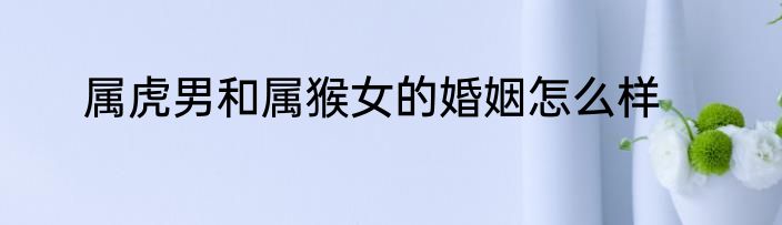 属虎男和属猴女的婚姻怎么样