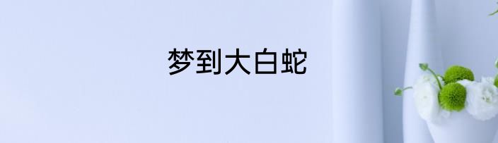 梦到大白蛇