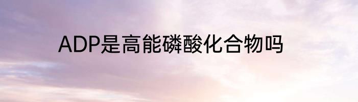 ADP是高能磷酸化合物吗