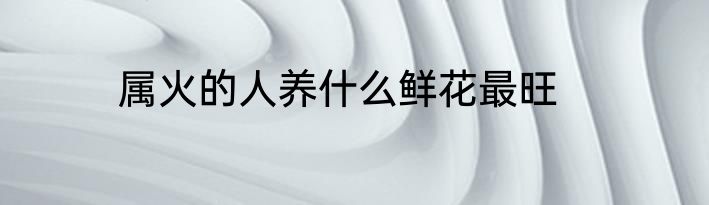 属火的人养什么鲜花最旺