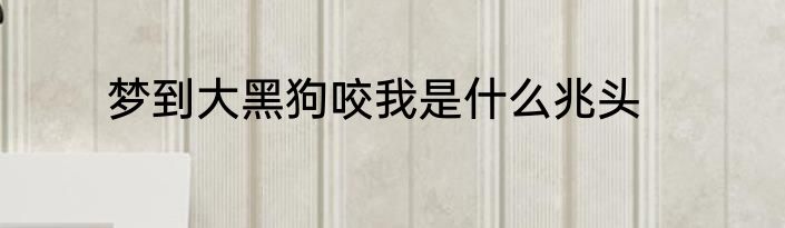 梦到大黑狗咬我是什么兆头
