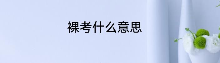 裸考什么意思