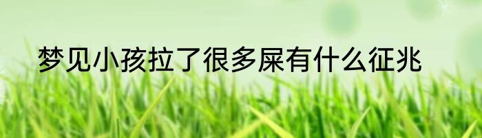 梦见小孩拉了很多屎有什么征兆