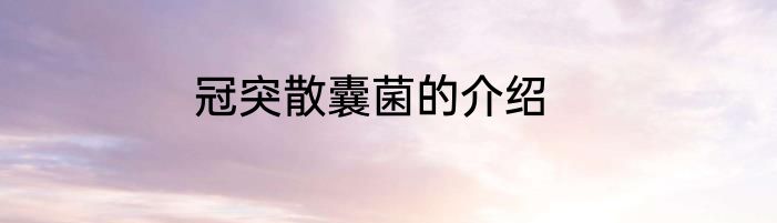 冠突散囊菌的介绍