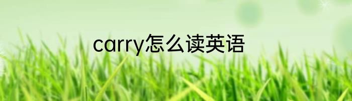 carry怎么读英语
