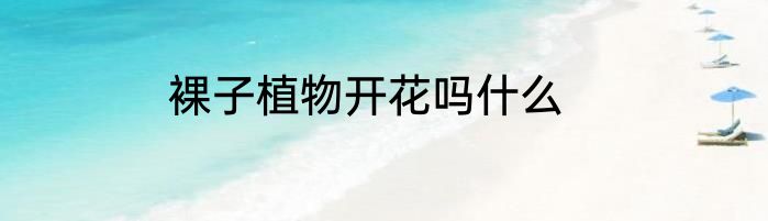 裸子植物开花吗什么