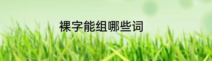 裸字能组哪些词