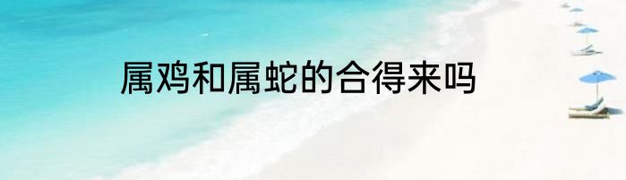属鸡和属蛇的合得来吗