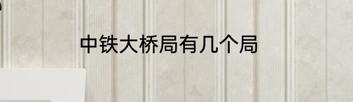 中铁大桥局有几个局