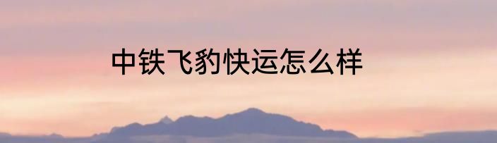 中铁飞豹快运怎么样
