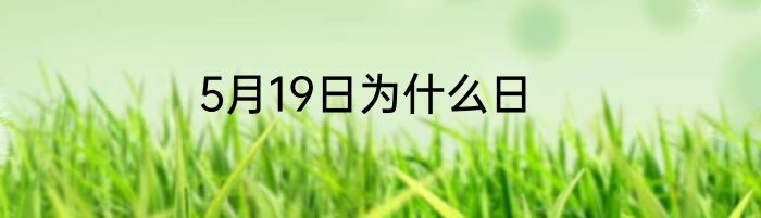 5月19日为什么日