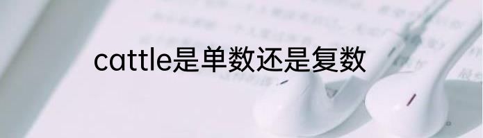 cattle是单数还是复数
