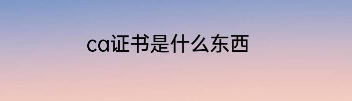 ca证书是什么东西
