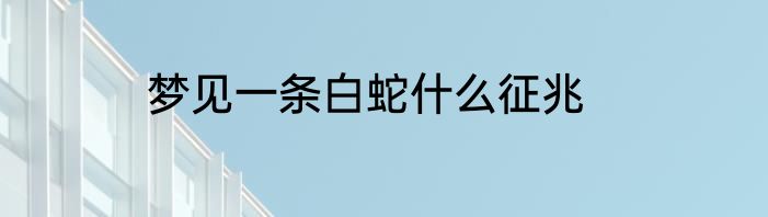 梦见一条白蛇什么征兆