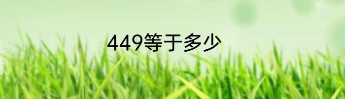 449等于多少