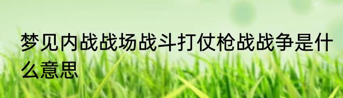 梦见内战战场战斗打仗枪战战争是什么意思