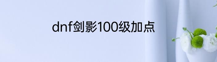 dnf剑影100级加点
