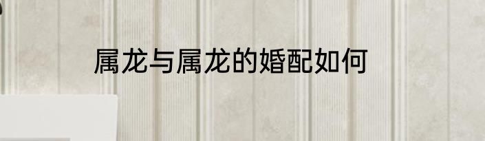 属龙与属龙的婚配如何