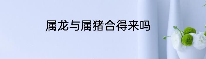 属龙与属猪合得来吗