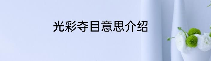 光彩夺目意思介绍