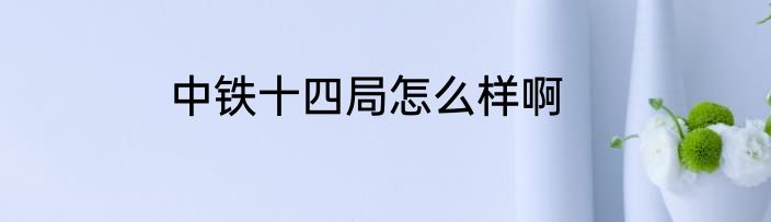 中铁十四局怎么样啊