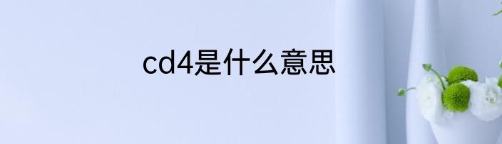 cd4是什么意思