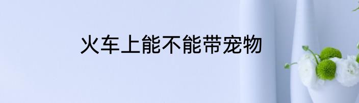 火车上能不能带宠物