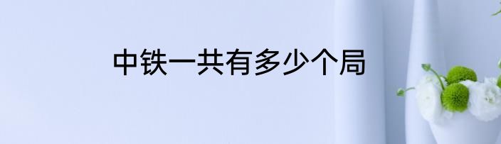 中铁一共有多少个局