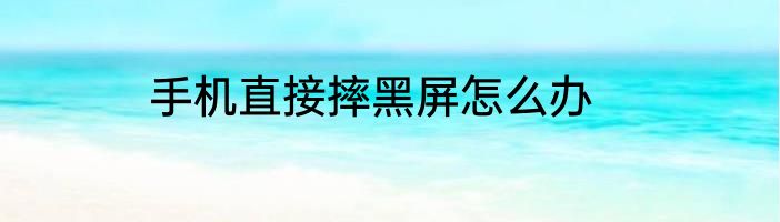 手机直接摔黑屏怎么办