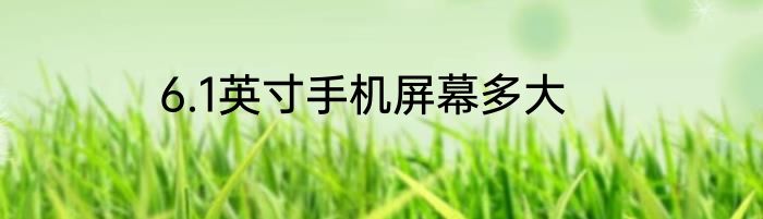 6.1英寸手机屏幕多大
