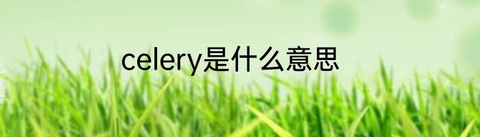 celery是什么意思