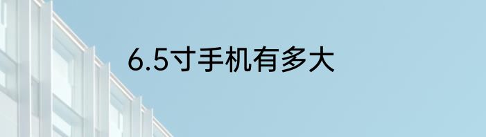 6.5寸手机有多大