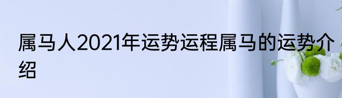 属马人2021年运势运程属马的运势介绍