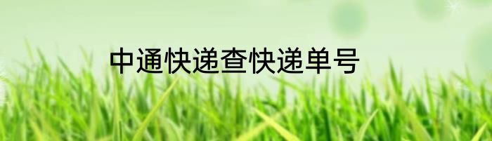 中通快递查快递单号