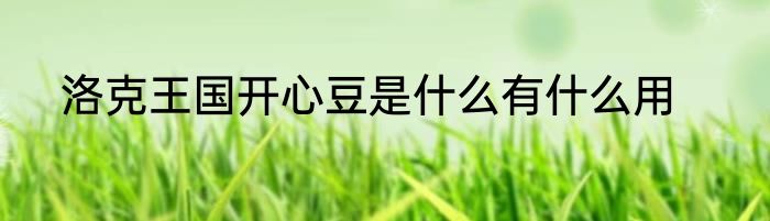 洛克王国开心豆是什么有什么用