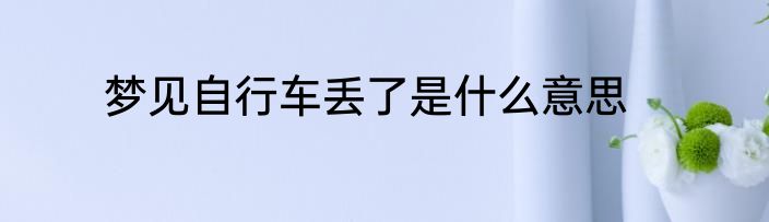 梦见自行车丢了是什么意思