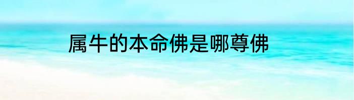 属牛的本命佛是哪尊佛
