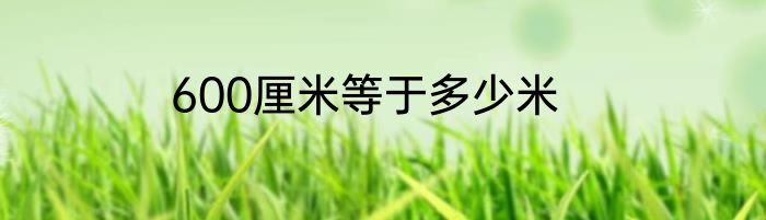 600厘米等于多少米