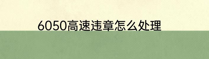 6050高速违章怎么处理